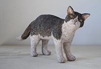 戸川五十生　Stray Cats #13　42x23.5x12　杉、色鉛筆　2020