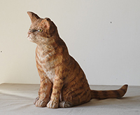 戸川五十生　Stray Cats #15　37.5x25.5x13　杉、色鉛筆　2020