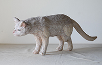 戸川五十生　Stray Cats #16　47.5x17x10　杉、色鉛筆　2020