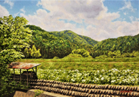 舘山浩丈　真夏の空の下で　SM　毛呂山町　パネル・キャンバス・油彩