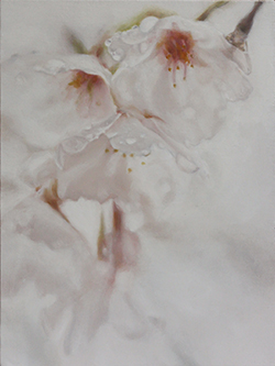 
桜雨　Ｆ４　油彩