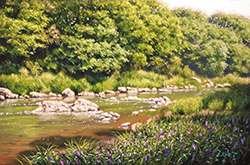 舘山浩丈　水辺に咲く　P4　パネル・キャンバス・油彩　取材場所：嵐山渓谷