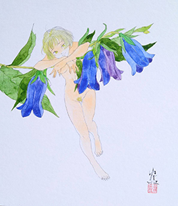 森ゆだね　bellflower　242×273mm