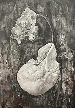 板倉文香　花器　F4号　鉛筆、グラファイト