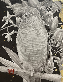 板倉文香　Vanilla　F0号　金箔、鉛筆、グラファイト