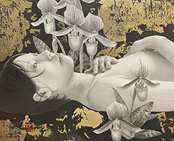 板倉文香　熱帯夜　F3号　金箔、鉛筆、グラファイト