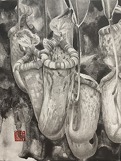 板倉文香　甘い罠　F0号　鉛筆、グラファイト