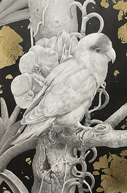 板倉文香　花守　SM　金箔、鉛筆、グラファイト