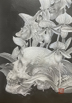 板倉文香　かたすみ　SM アクリル、鉛筆