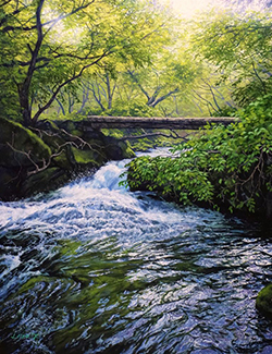 舘山浩丈 真夏の奔流(長野県蓼科)F6 油彩・パネル・ジェッソ