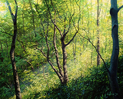 舘山浩丈　木霊Ⅱ（埼玉県嵐山渓谷）　F3　油彩・パネル・ジェッソ