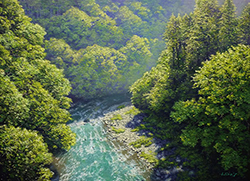 舘山浩丈　昇る朝日（東京都奥多摩 氷川渓谷）　F4　油彩・パネル・ジェッソ