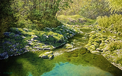 舘山浩丈　渓流の光（埼玉県嵐山渓谷）　M10　油彩・パネル・ジェッソ