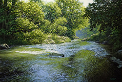 舘山浩丈　森の躍動　（埼玉県嵐山渓谷）　M20　油彩・パネル・ジェッソ