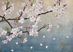 野沢栄子「さくら」F4