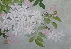 野沢栄子「ジャスミン」SM