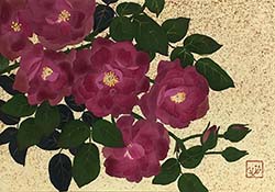 野沢栄子「ダークチェリーパイ」SM