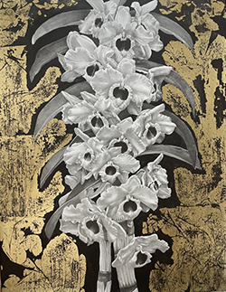 板倉文香 White F6 鉛筆・グラファイト・金箔