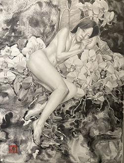 板倉文香 甘露 F6 鉛筆・グラファイト