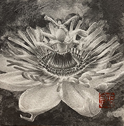 板倉文香 麗 鉛筆