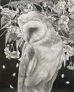 板倉文香 familiar F3 鉛筆