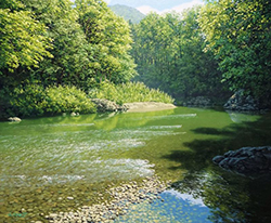 舘山浩丈　静穏Ⅲ（埼玉県嵐山渓谷）　F8　油彩・パネル・ジェッソ
