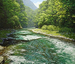 舘山浩丈　盛夏を駆ける（東京都奥多摩 氷川渓谷） F10　油彩・パネル・ジェッソ