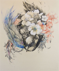 藤木佑里恵　曖昧な森-極楽鳥　595×500mm　ペン　色鉛筆、インク　2014