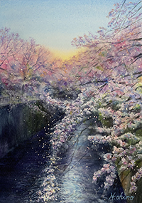  沖野宏明　桜の花びらが舞い光の雫になった