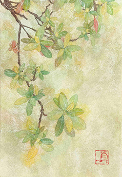 『ひとごこち』陸野 真望